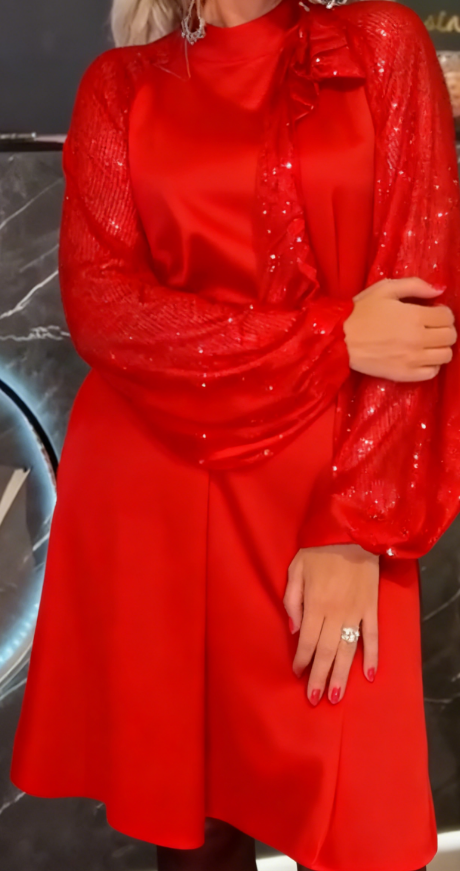 Elinor | Mesh-Paillettenkleid